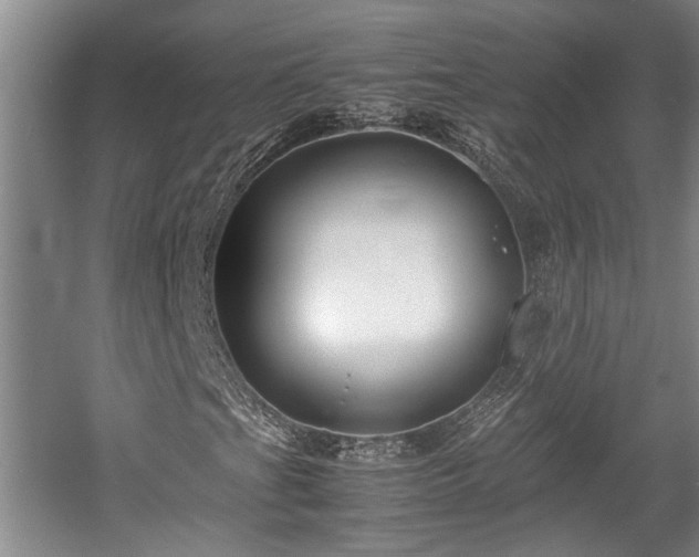 X0000057561201200509191413