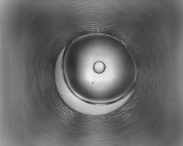 X0000057561202200509191413