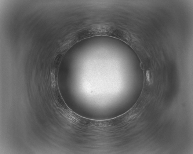 X0000057561203200509191413