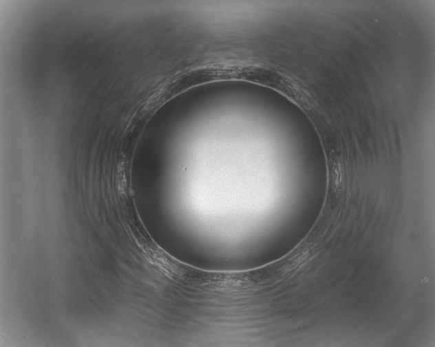 X0000057561204200509191413
