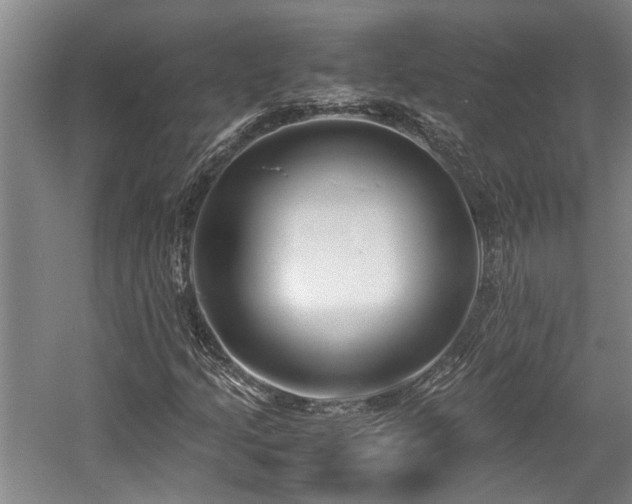 X0000057561205200509191413