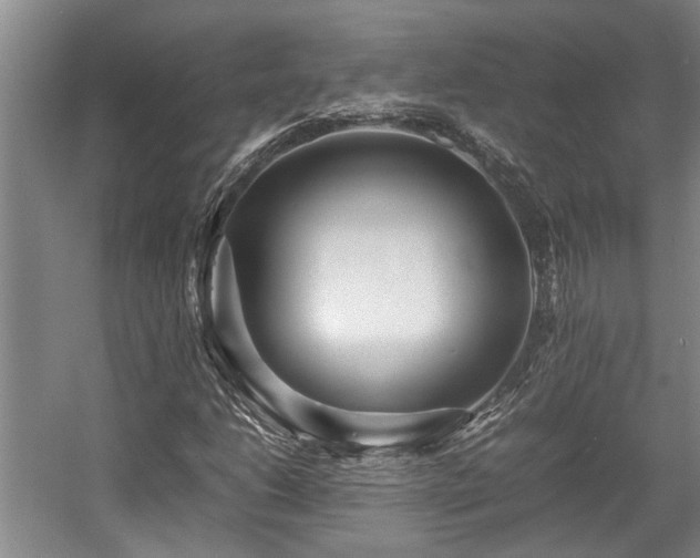 X0000057561206200509191413