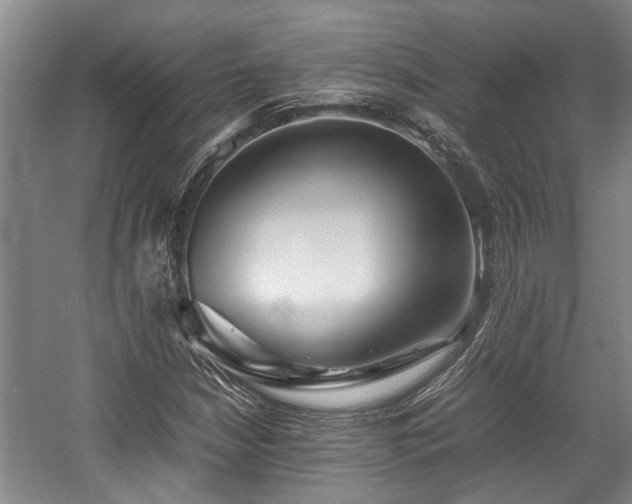 X0000057561210200509191413