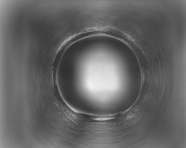 X0000057561214200509191413