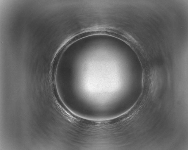 X0000057561216200509191413