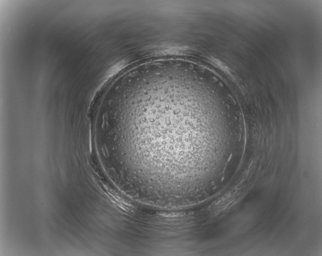 X0000057561219200509191413