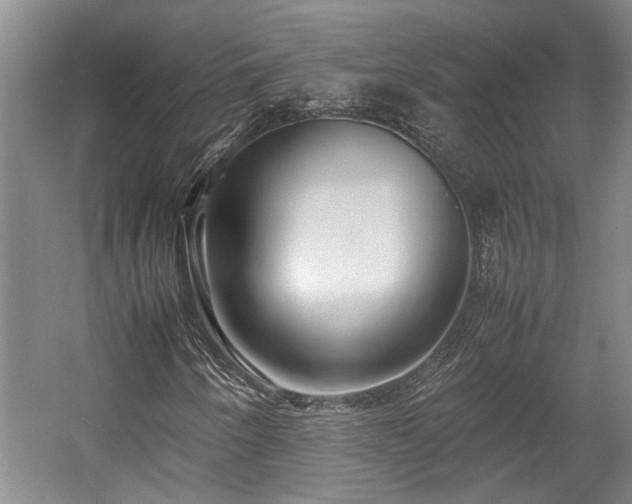 X0000057561250200509191413