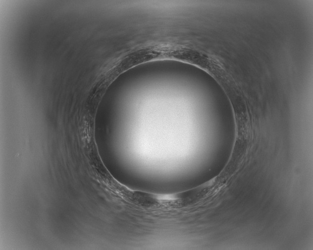 X0000057561253200509191412