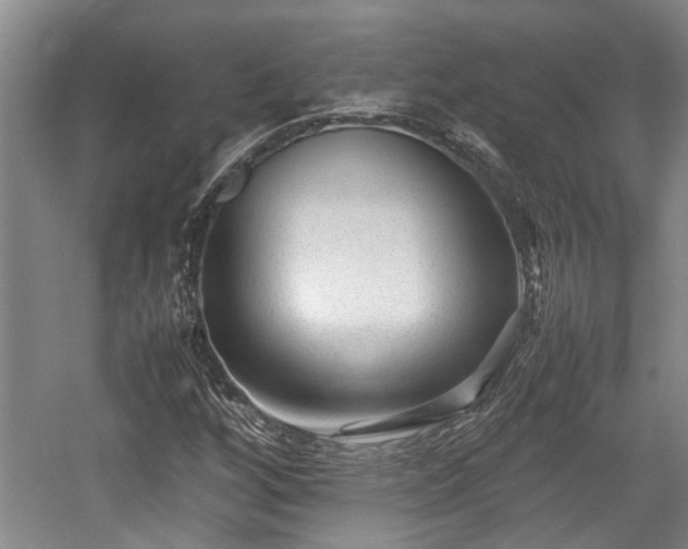 X0000057561256200509191412