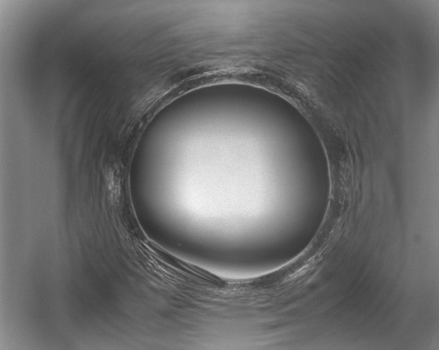 X0000057561257200509191412