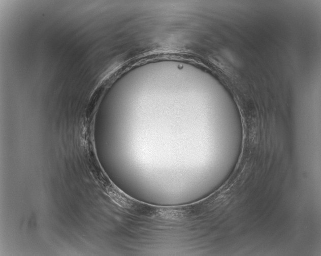 X0000057561258200509191412