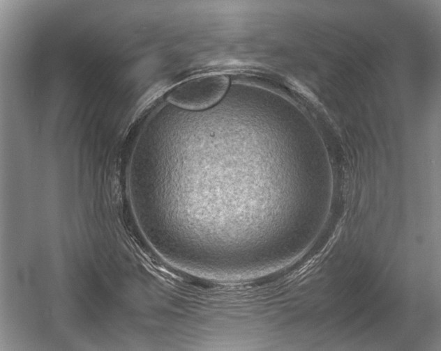 X0000057561259200509191412
