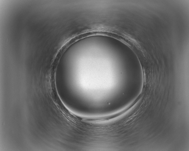 X0000057561264200509191412