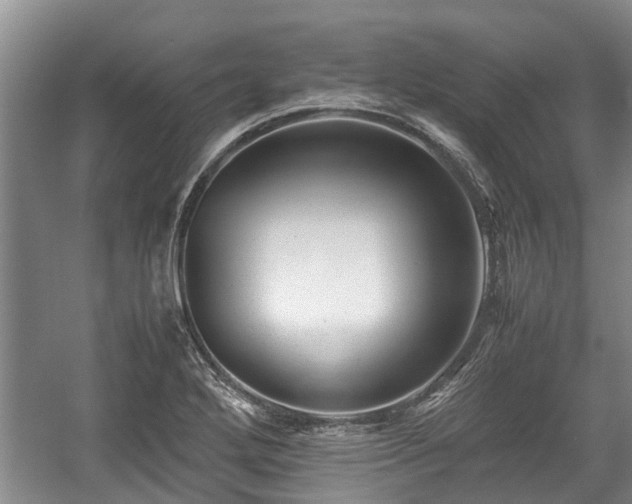 X0000057561272200509191412