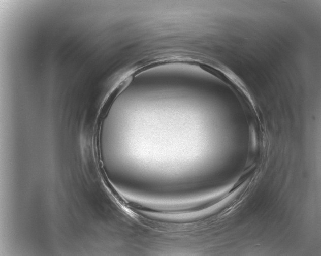 X0000057561293200509191412