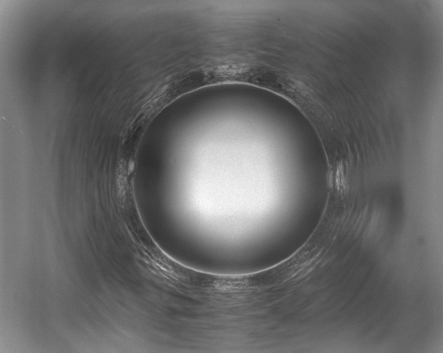 X0000057561299200509191411