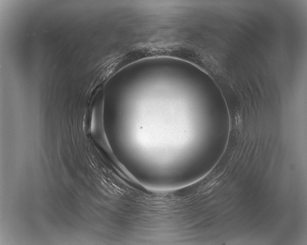 X0000057561300200509191411