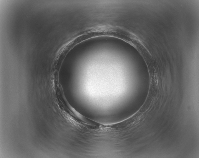 X0000057561304200509191411