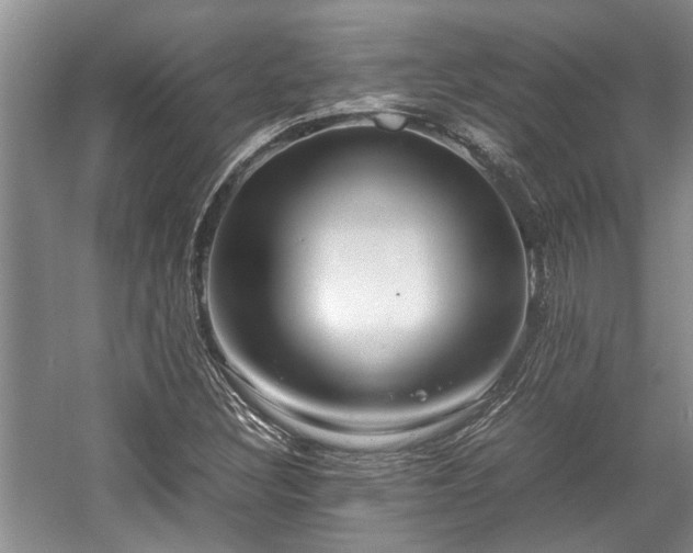 X0000057561308200509191411