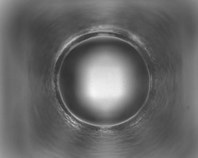X0000057561312200509191411