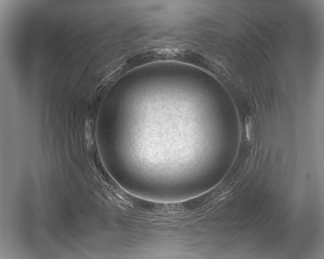 X0000057561347200509191411