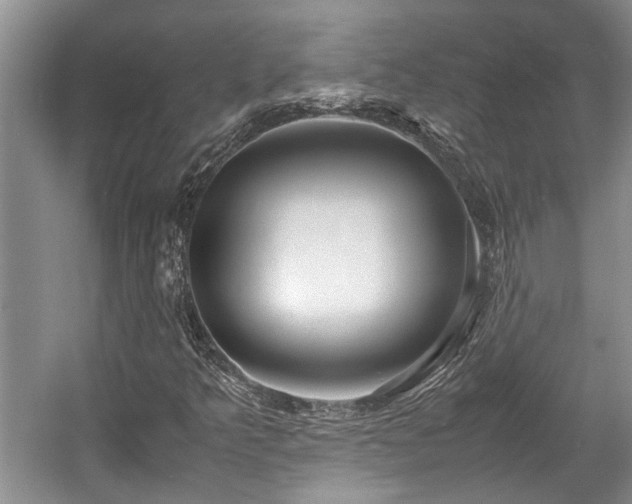 X0000057561349200509191411