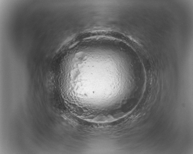 X0000057561351200509191411