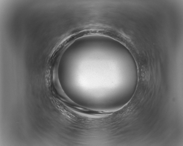 X0000057561352200509191411