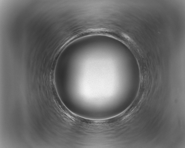 X0000057561361200509191411
