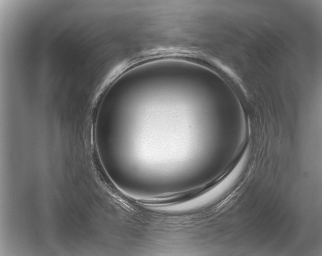X0000057561365200509191411