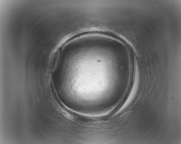 X0000057561367200509191411