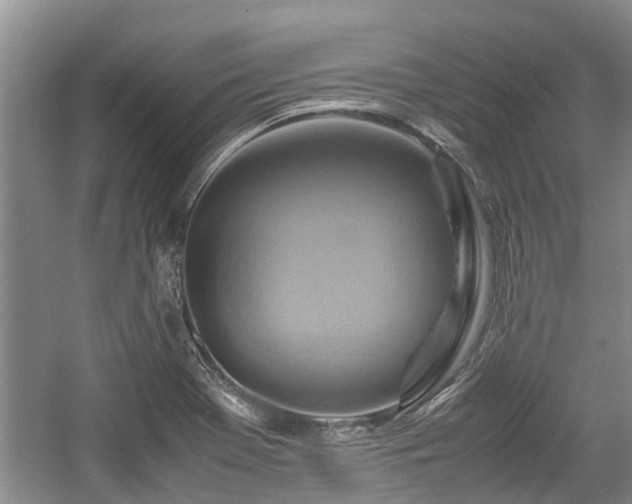 X0000057561369200509191410