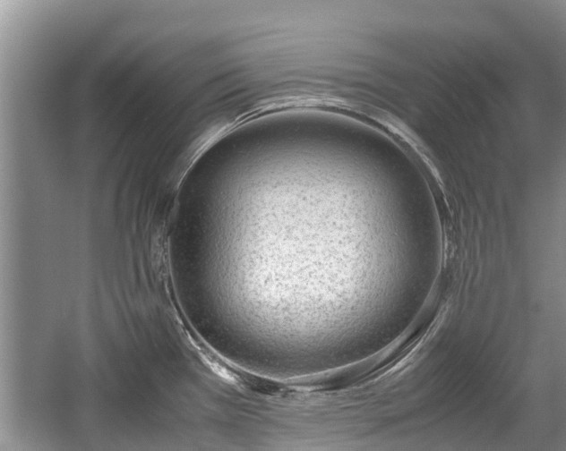 X0000057561385200509191410