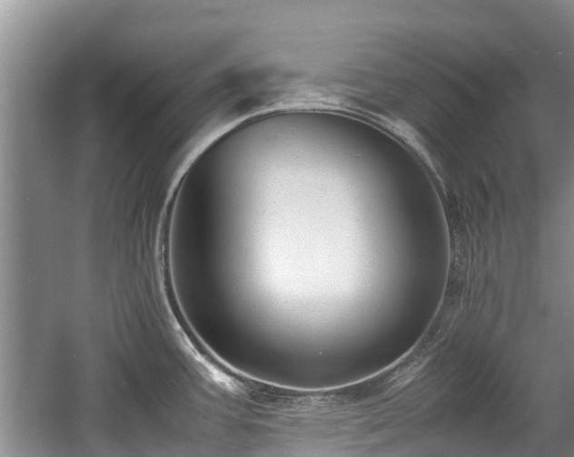 X0000057561387200509191410