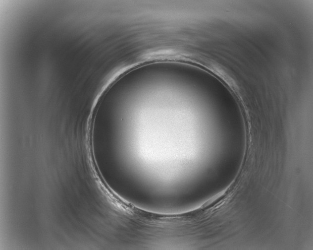 X0000057561392200509191410