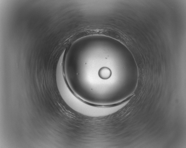 X0000057561394200509191409