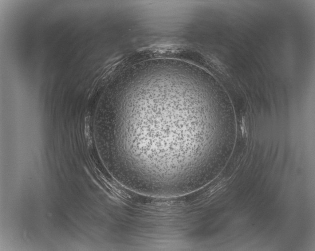 X0000057561396200509191409
