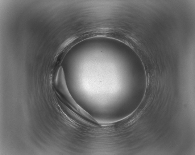 X0000057561402200509191409
