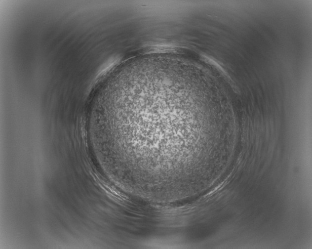 X0000057561403200509191409