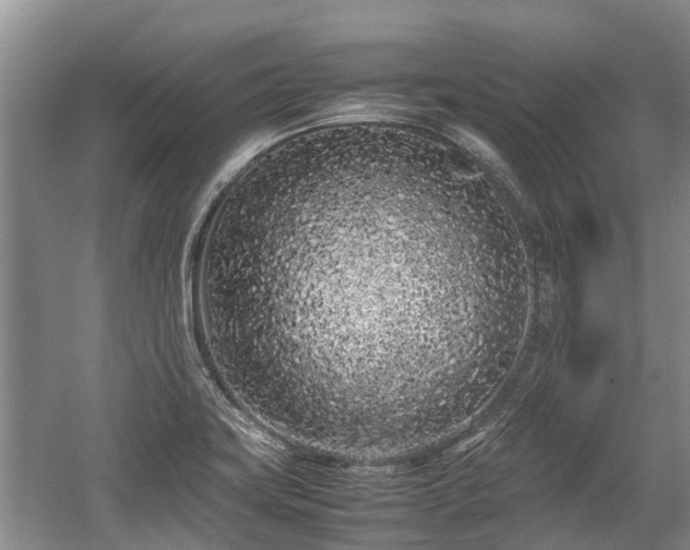 X0000057561419200509191410