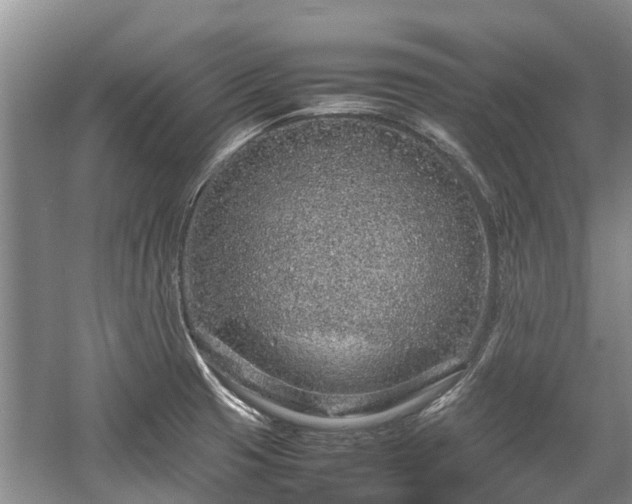 X0000057561425200509191410