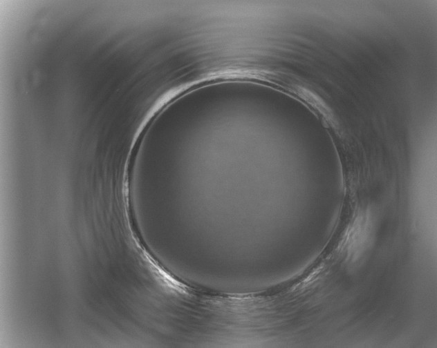 X0000057561428200509191410