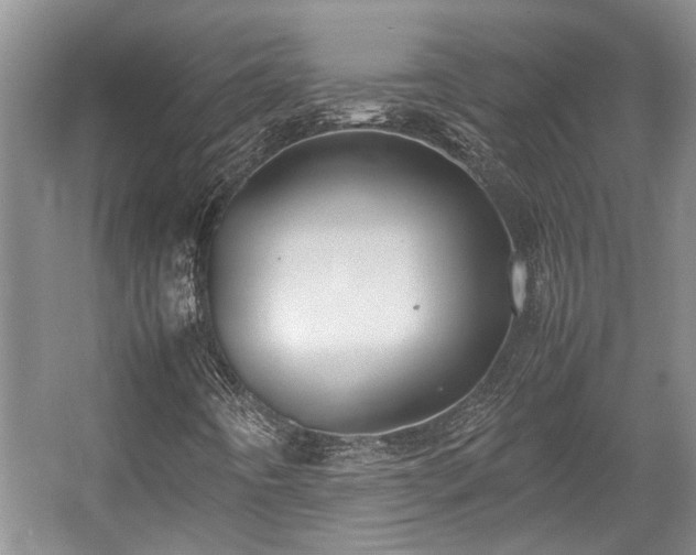 X0000057561442200509191409
