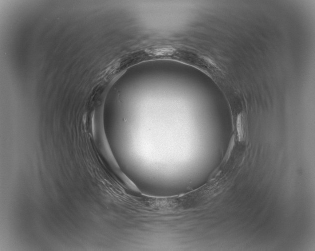 X0000057561443200509191409