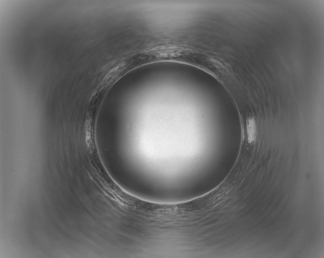X0000057561444200509191409