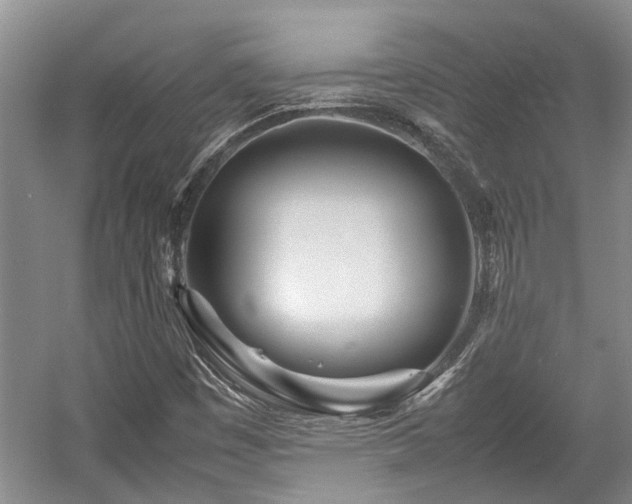 X0000057561449200509191409