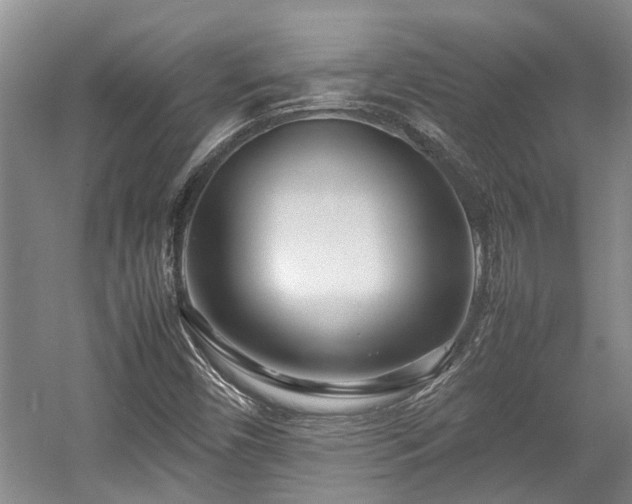 X0000057561450200509191409
