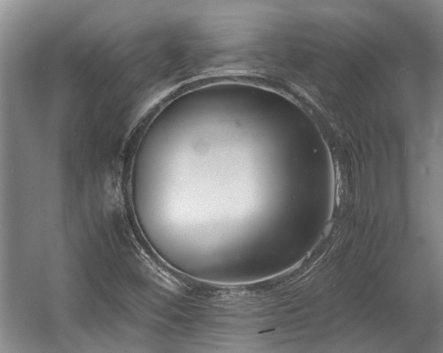 X0000057561452200509191409