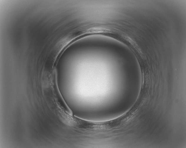 X0000057561465200509191409