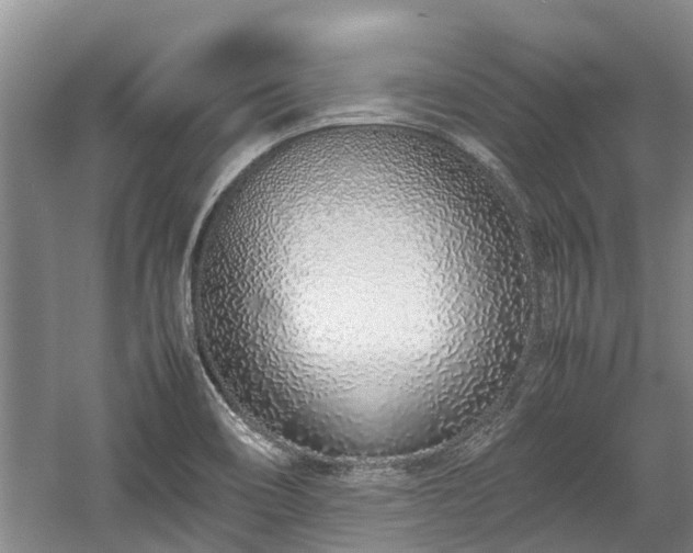 X0000057561466200509191409